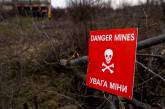 В Херсонской области на мине, оставленной оккупантами, подорвался местный житель