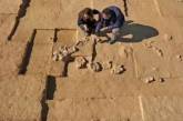 Древние страусиные яйца нашли у костра кочевников: им более 4 тысяч лет