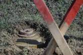 В Херсонской области снова подрывы на российских минах: один погибший, двое раненых