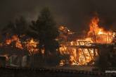 Масштабные пожары в Чили: гибнут десятки людей (фото)