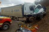 В Закарпатье микроавтобус столкнулся с грузовиком: среди погибших - ребенок