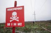 В Николаевской области на минах подорвались молоковоз и грузовик