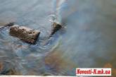 Материалы о загрязнении нефтепродуктами реки Ингул переданы в природоохранную прокуратуру