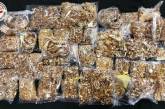 Рекордные 43 кг золотых украшений конфисковали в аэропорту Скопье
