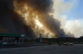 На Херсонщине масштабный пожар: уничтожено более 1500 га леса и 2 фермы ОБНОВЛЕНО