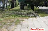 На проспекте Ленина массово спиливают деревья