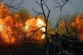 Лес Николаевской области: взрывы снарядов и вторжение