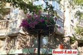 Сдержали обещание: в центре Николаева появилась не пивнуха, а чаша с цветами