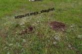 В Снигиревке двое местных жителей подорвались на мине