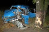 «ВАЗ» въехал в дерево: пострадали три человека