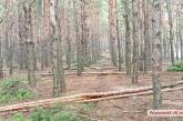 В Николаевской области через суд требуют вернуть в госсобственность леса на 300 миллионов