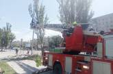 В Николаеве на проспекте продолжили рубить тополя: в мэрии заявили, что так безопаснее