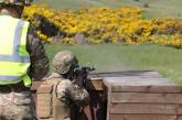 В Британии украинские военные проходят учения по ведению оборонительного боя