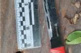 В Николаевской области отчим ударил пасынка ножом