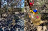 На Кинбурнской косе готовятся тушить лесные пожары бутылями воды: оккупанты украли технику
