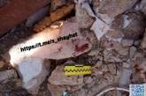 Житель Николаевской области взял в руки неразорвавшийся снаряд — пострадавший госпитализирован