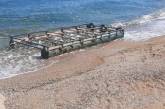 В Одесской области море превращается в свалку и кладбище животных, - последствие взрыва ГЭС