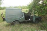 В Николаевской области «ИЖ» врезался в дерево: погиб водитель