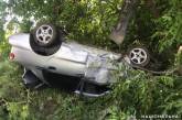 В Николаевской области перевернулся Daewoo – водитель погиб