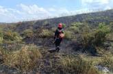 За минувшие сутки в Николаевской области пожар охватил 16 га территории