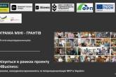 В Николаевской области запускают программу минигрантов для субъектов микропредпринимательства