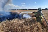 В поле Николаевской области загорелся КамАЗ — огонь уничтожил пшеницу на 5 га