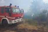 Враг обстреливал Николаевскую область: загорелся лес