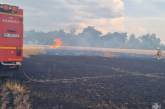 В Николаевской области за сутки площадь пожаров составила 42 га
