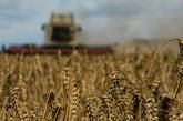 РФ угрожает «рисками» сторонам, которые хотят продлить зерновое соглашения без ее участия