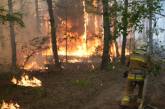 Масштабный пожар: в Николаевской области населенные пункты остались без света