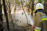 Спасатели ГСЧС локализовали масштабный пожар в лесу под Николаевом