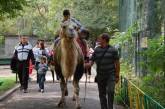 Одесский зоопарк с размахом гульнул свой юбилей 