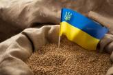 Польша, Венгрия и Словакия не разрешат импорт украинского зерна, несмотря на решение Еврокомиссии