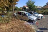 В Николаеве после столкновения с такси Dacia врезалась в дерево: пострадали два человека (видео)