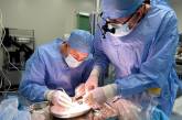 Львовские врачи пересадили пятилетнему ребенку почку от младенца