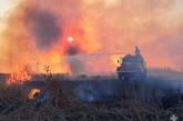 В Николаевской области за сутки возникло 34 пожара – 22 из них в экосистемах
