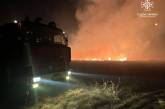 В Николаеве и области за сутки пожары охватили 29 га территорий: тушили почти 100 спасателей