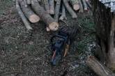 В Николаевской области браконьеры нарубили деревьев более чем на 110 тысяч гривен