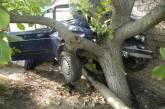 Водитель "шестерки" потерял сознание за рулем и врезался в дерево. Пострадали два человека. ВИДЕО