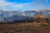 В Николаевской области потушили пожар площадью 5 га