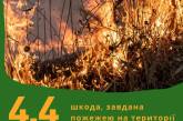 Из-за неосторожности горел парк «Тилигульский» - ущерб более 4 млн
