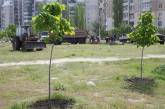 В Николаеве приняли экологическую программу: за 5 лет хотят потратить более 81 миллиона