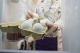 В Украине начали расти в цене яйца