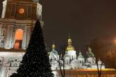 В Киеве смонтировали главную елку страны (фото)