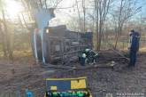 В Николаевской области «Мерседес» слетел в кювет и перевернулся — водитель погиб