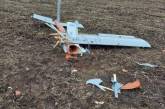 Кім показав, як виглядає російський дрон, збитий у Миколаївській області
