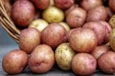 Украина начала покупать картофель за рубежом