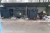 Пока коммунальщики решают, где чьи «зоны ответственности», двор в Николаеве «тонет» в мусоре