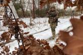 ВСУ на Таврическом направлении уничтожили 80 единиц российской техники