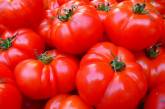 В Украине дешевеют импортные помидоры